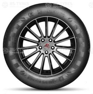 Doublestar DS01 SUV 225/65 R17 102T