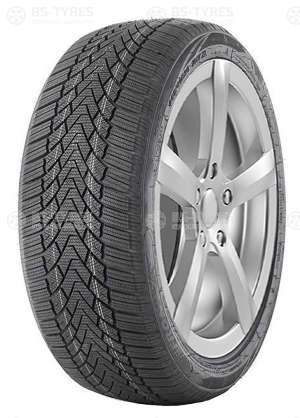 FronWay Icemaster I 245/50 R20 105H