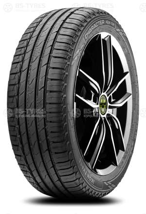 Ikon (Nokian Tyres) Character Aqua (Nordman S2) SUV 255/55 R18 109V